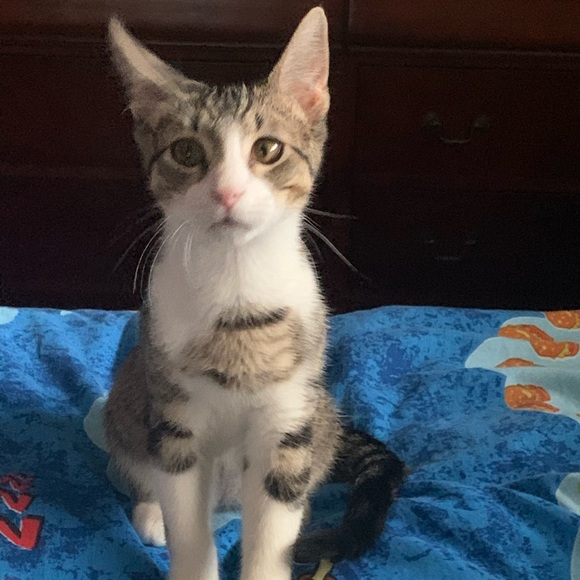 ๐บ๐ธMy Garden๐บ๐ธMy Babies๐บ๐ธ - Picture 15 of 16